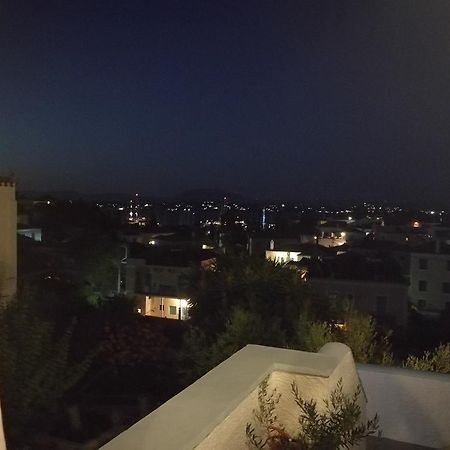 Villa Metaxa Spétses Екстериор снимка