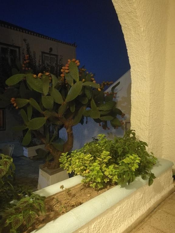 Villa Metaxa Spétses Екстериор снимка